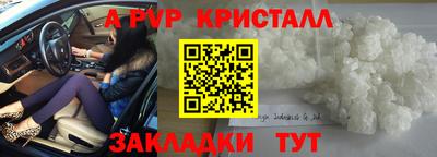 стафф Будённовск